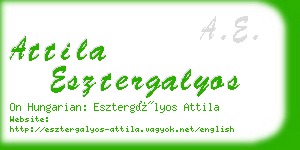attila esztergalyos business card